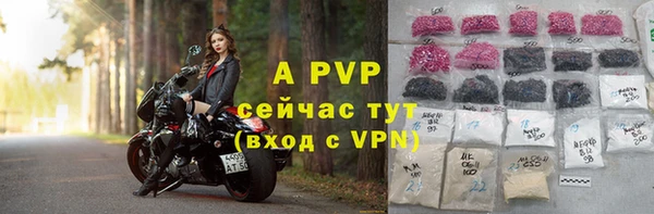 хмурый Верея