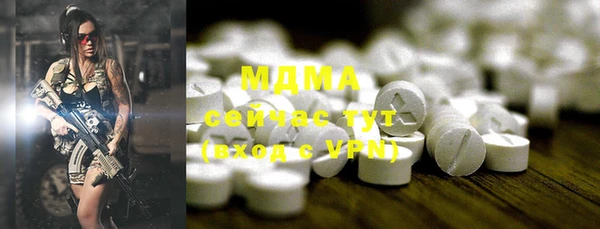 хмурый Верея