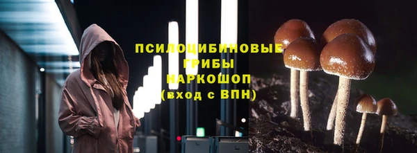 хмурый Верея