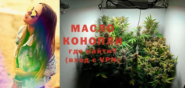 крисы Верхний Тагил