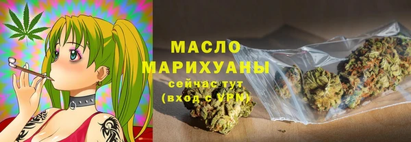 крисы Верхний Тагил