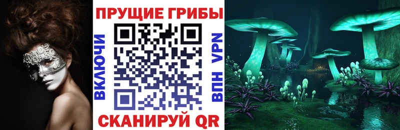 Псилоцибиновые грибы мухоморы  наркошоп  Истра 