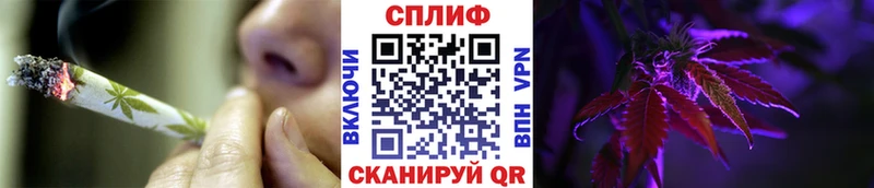 Канабис сатива Истра